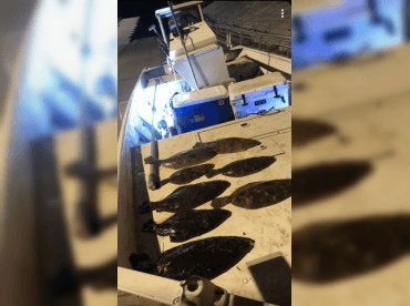 Aquatic Panhandle – Flounder Gigging