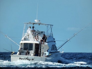 Hard Play Fishing Charters – Grenada