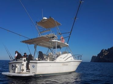 PM Charter Marine Fishing Mallorca