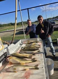 Two anglers posing with a successful catch of multiple Walleye displayed on a cleaning table after a day of fishing.