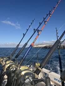A close-up view of fishing rods and reels on a boat, showcasing the gear ready for a day of fishing in open waters.