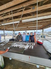 A group of anglers proudly posing with their catch of Speckled Trout displayed on a cleaning table at a fishing dock.