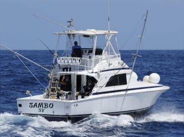 Atlantic Fishing Charter – Sambo