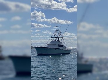 It's Never Enough Sport Fishing – 45'