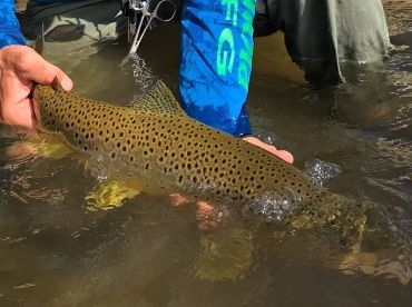 Fishtales Outfitting – Yellowstone River