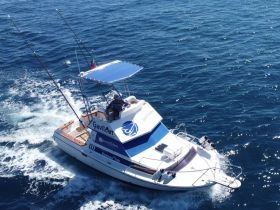 Madeira Fishing Charters - Gavito