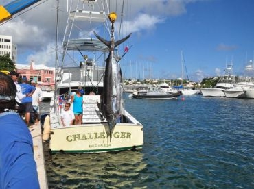 Challenger Charter Fishing Bermuda