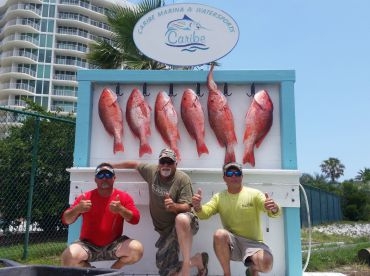 Reel Fishin' Charters – Gulf Shores